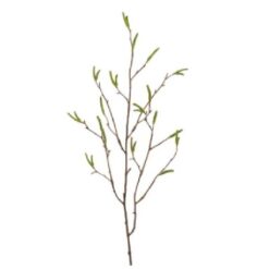 Berkentak l78cm groen zijde