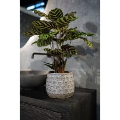 Pot Debby Lavendel D15H14