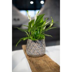 Pot Debby Lavendel D21H17