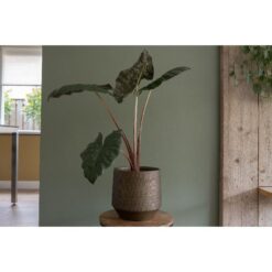 Pot Norell chestnut D18H16