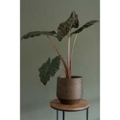 Pot Norell Chestnut D21H20