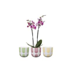 Pot Joya kleur D17H15 Geel