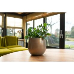 Pot Esra champagne D36H32