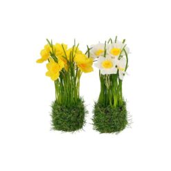 Countryfield Kunstplant Narcissen 16x13x22