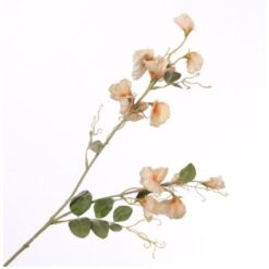 Lathyrus Spray Peach zijde