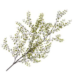 Muehlenbeckia Spray Green zijde