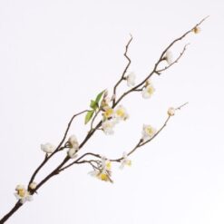 Plum Blossom Spray Cream 95cm