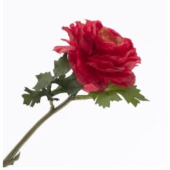 Ranunculus Red zijde