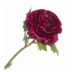 Ranonkel Burgundy zijde
