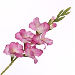 Gladiolus Spray White Fuchsia zijde