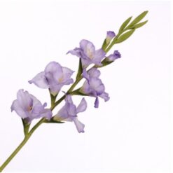 Gladiolus Spray Lavender zijde