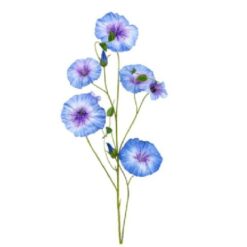 Morning glory 90cm blauw/paars zijde