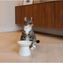 District 70 - WABI SABI Ceramic Cat Bowl - Merengu
