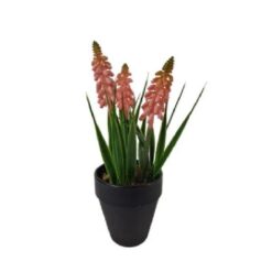 Muscari zijde in pot 18cm pink