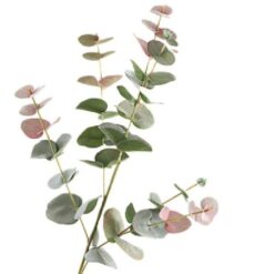 Eucalyptus Spray Green Red zijde per stuk