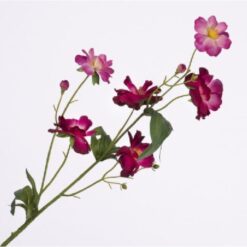 Ranunculus Butterfly Spray Beauty zijde