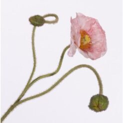 Papaver Spray Pink zijde