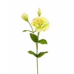 Lisianthus Green zijde