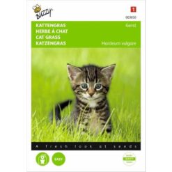 BUZZY® KATTENGRAS GERST