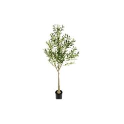 Plant Olijf Olea XXL groen140x140x180CM
