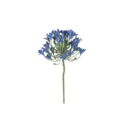 Bloem Agapanthus blauw10x20x90CM zijde