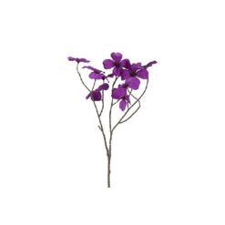 Bloem Beau Cornus paars26x26x67CM zijde