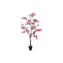 Plant Magnolia S roze50x50x210CM