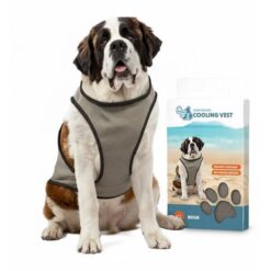 Coolpets Cooling Vest XL