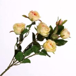 Rosa Spray Cream zijde per stuk 40cm