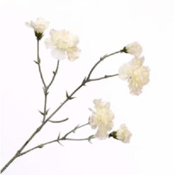 Dianthus spray cream zijde per stuk 50cm