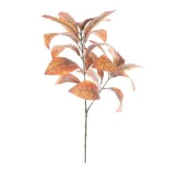 Cotton leaf spray orange 70cm