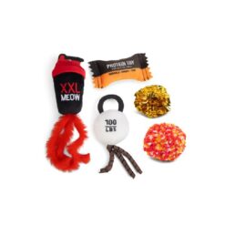 BZ PLU KSP WORKOUT MULTI 5ST