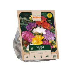 Freesia Double mixed per 10