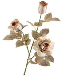 Rosa Spray Dried Brown zijde