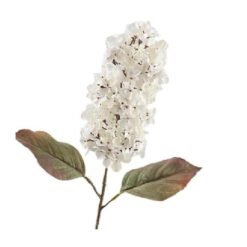 Cone Hydrangea Dried 66cm Beige
