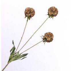 Scabiosa Spray Brown zijde