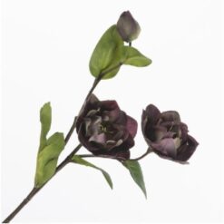 Helleborus spray Beauty zijde