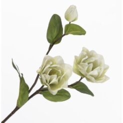 Helleborus Spray Cream/Green zijde